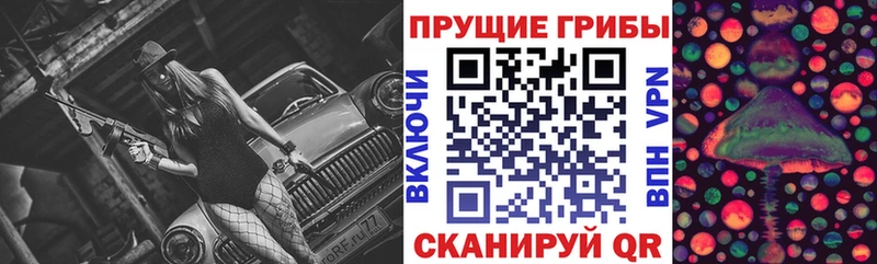 закладки  omg рабочий сайт  Псилоцибиновые грибы Psilocybine cubensis  Донской 